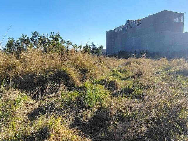 Terreno para Venta en Querétaro - 5